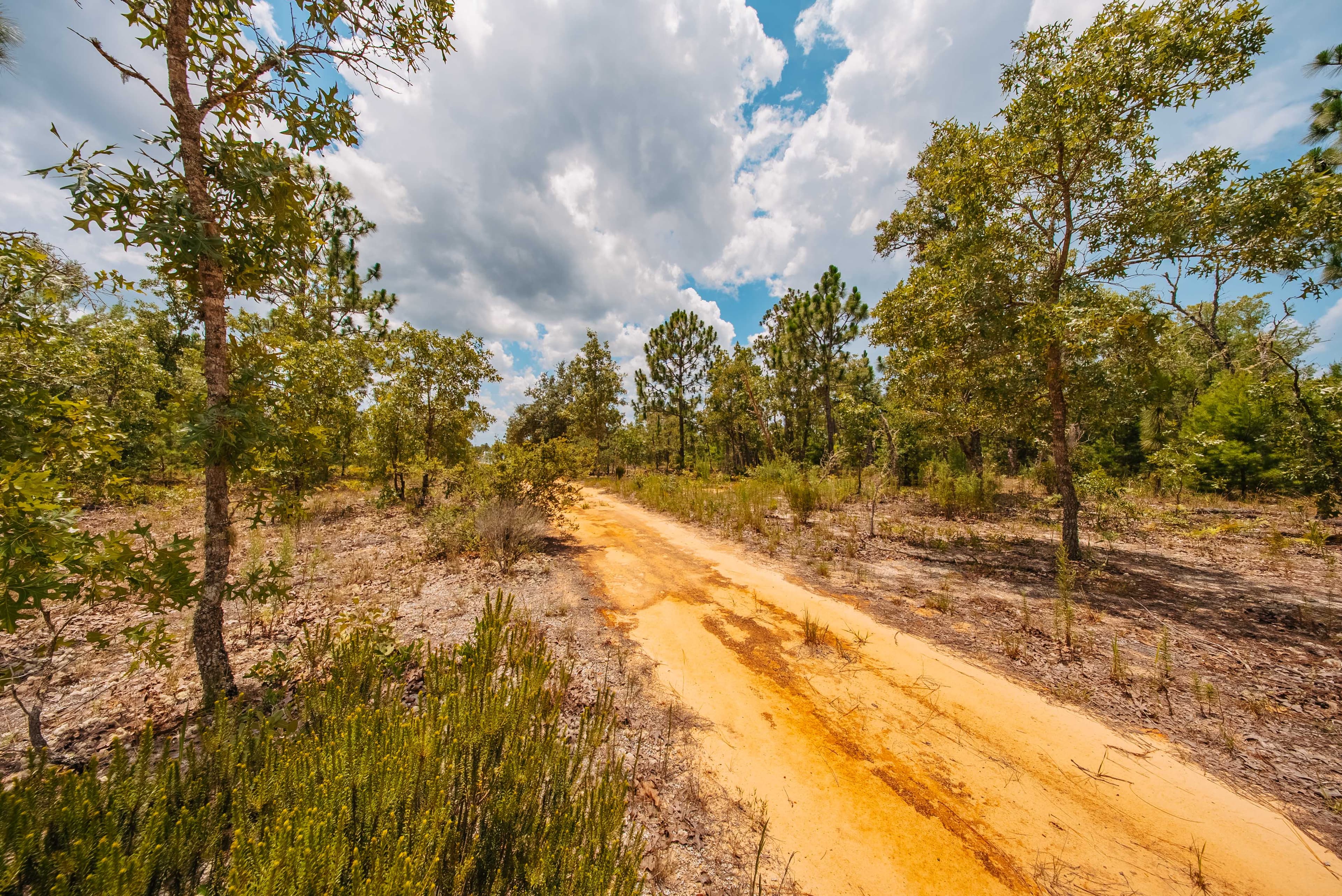 0.20 Acre Build-Ready Lot in Cooper Lake Estates, Interlachen — property view 11