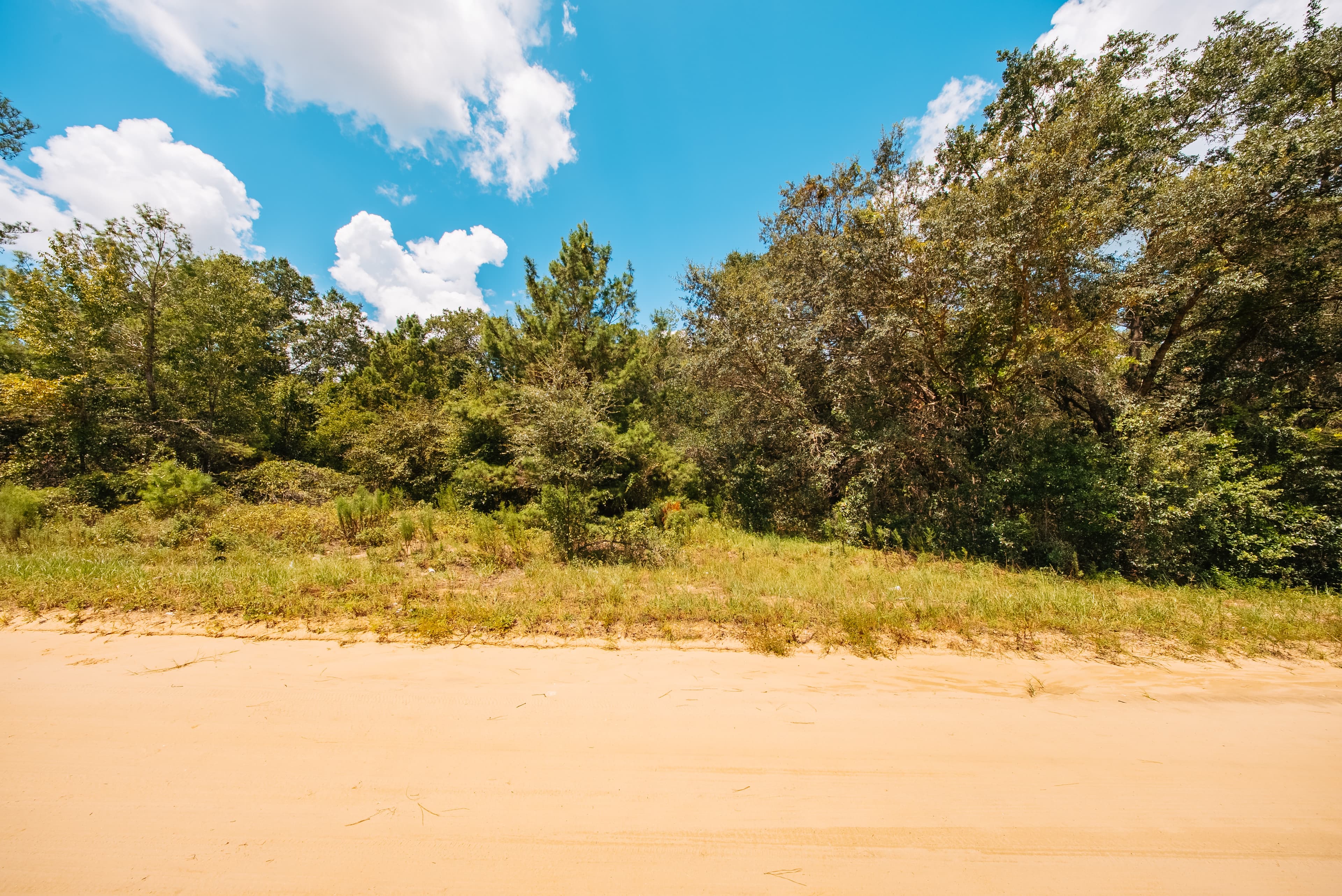 0.215 Acre Build-Ready Lot in Interlachen Lakes Estates — property view 7