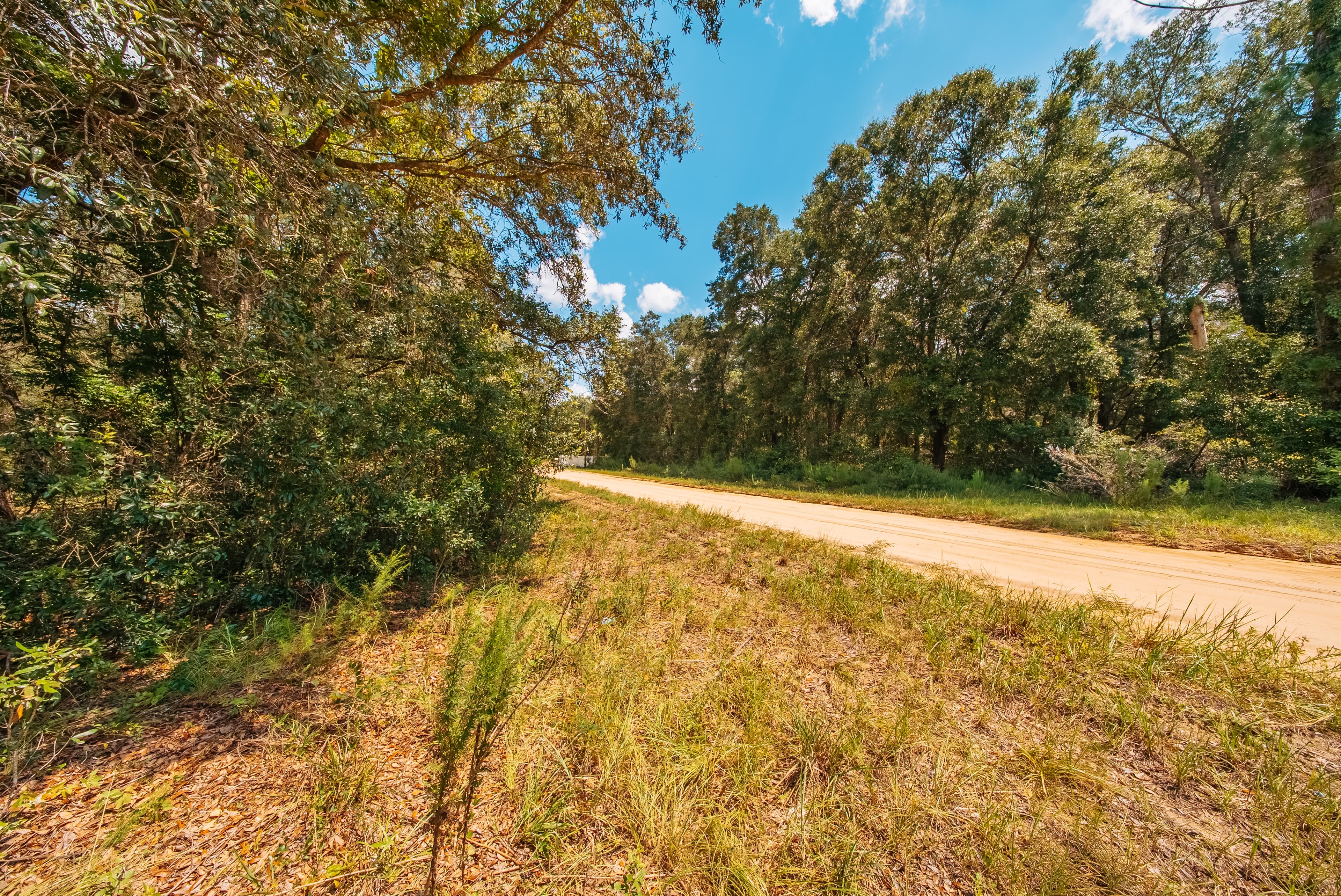 0.215 Acre Build-Ready Lot in Interlachen Lakes Estates — property view 6