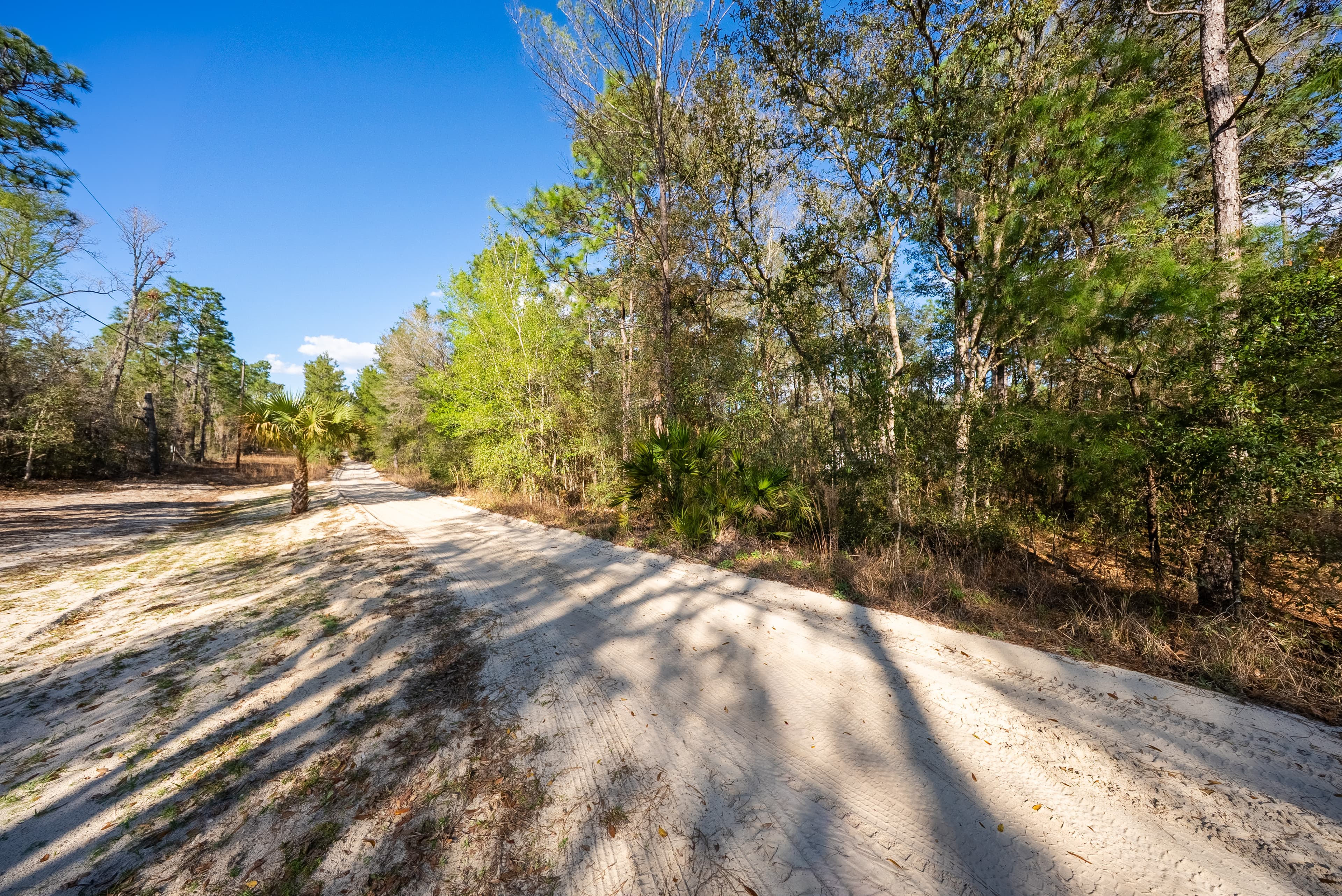 Quail Hollow Hideaway: 0.23 Acres in Florida's Riverside Frontier — property view 10