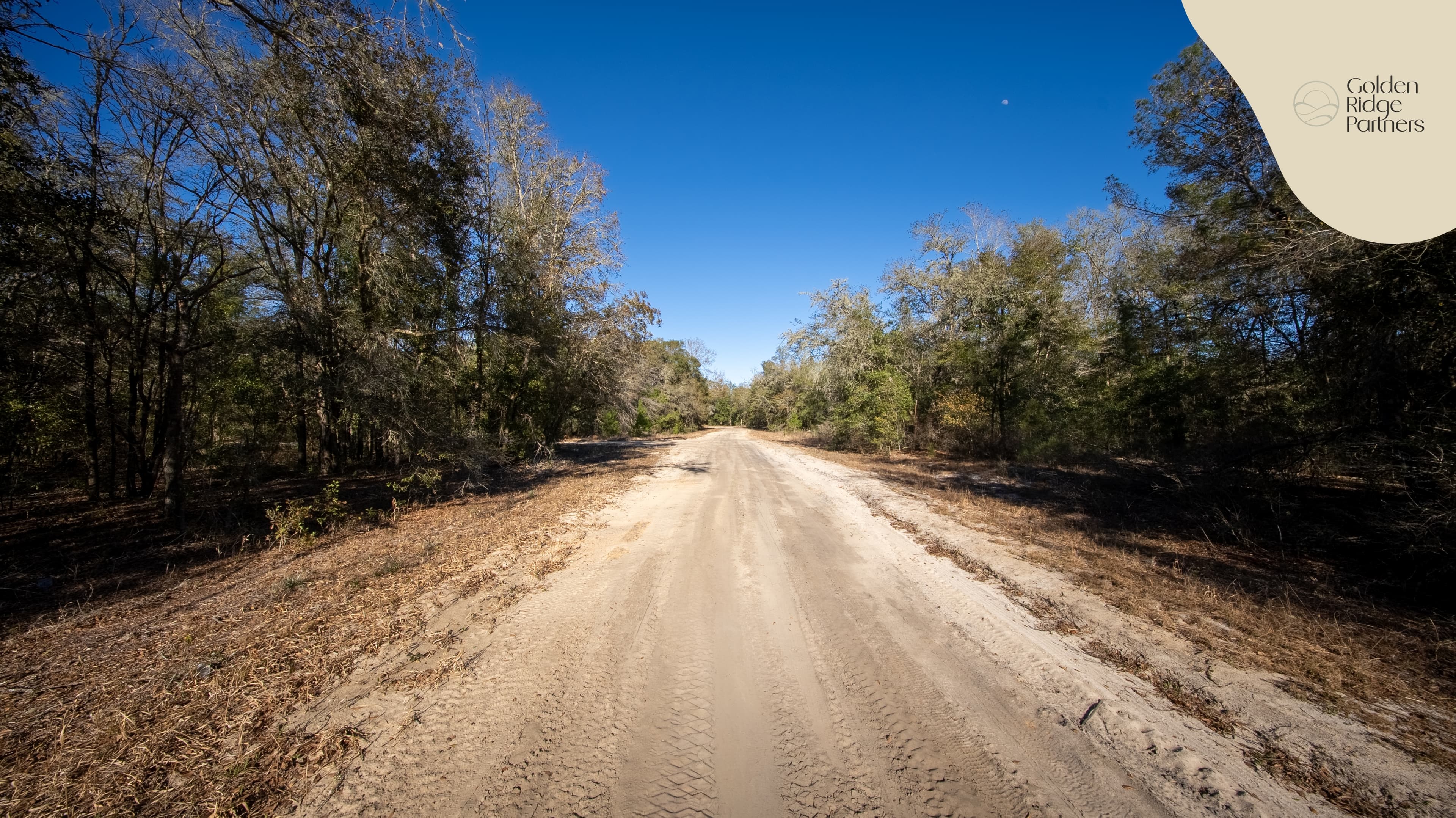 0.26 acre residential zoned land for sale in Putnam County, FL — photo 3