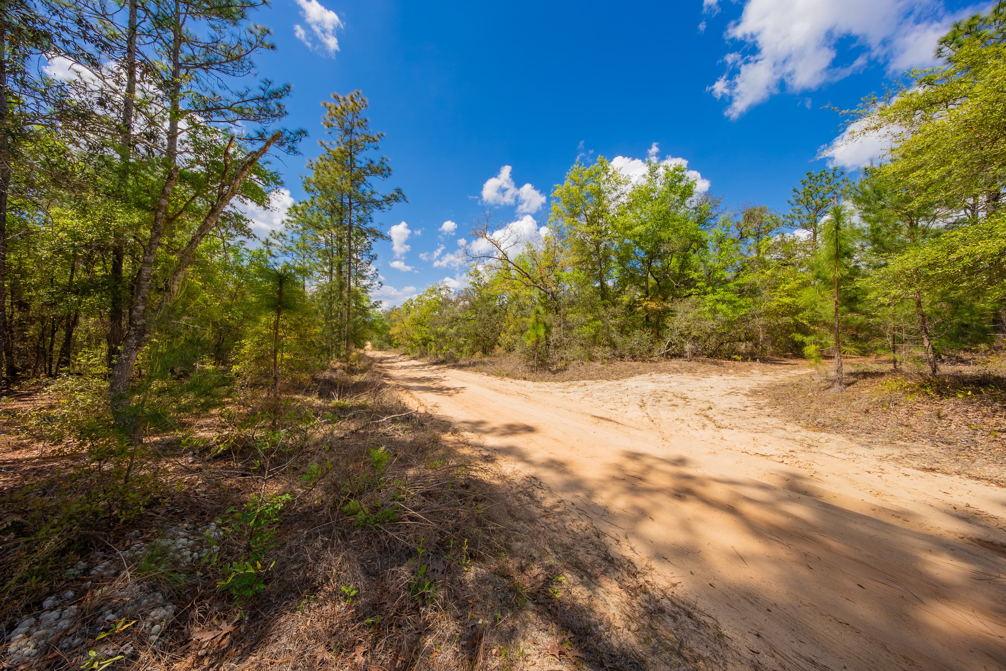 High-Ground Hawthorne: 0.3 Acres of Freedom — property view 11