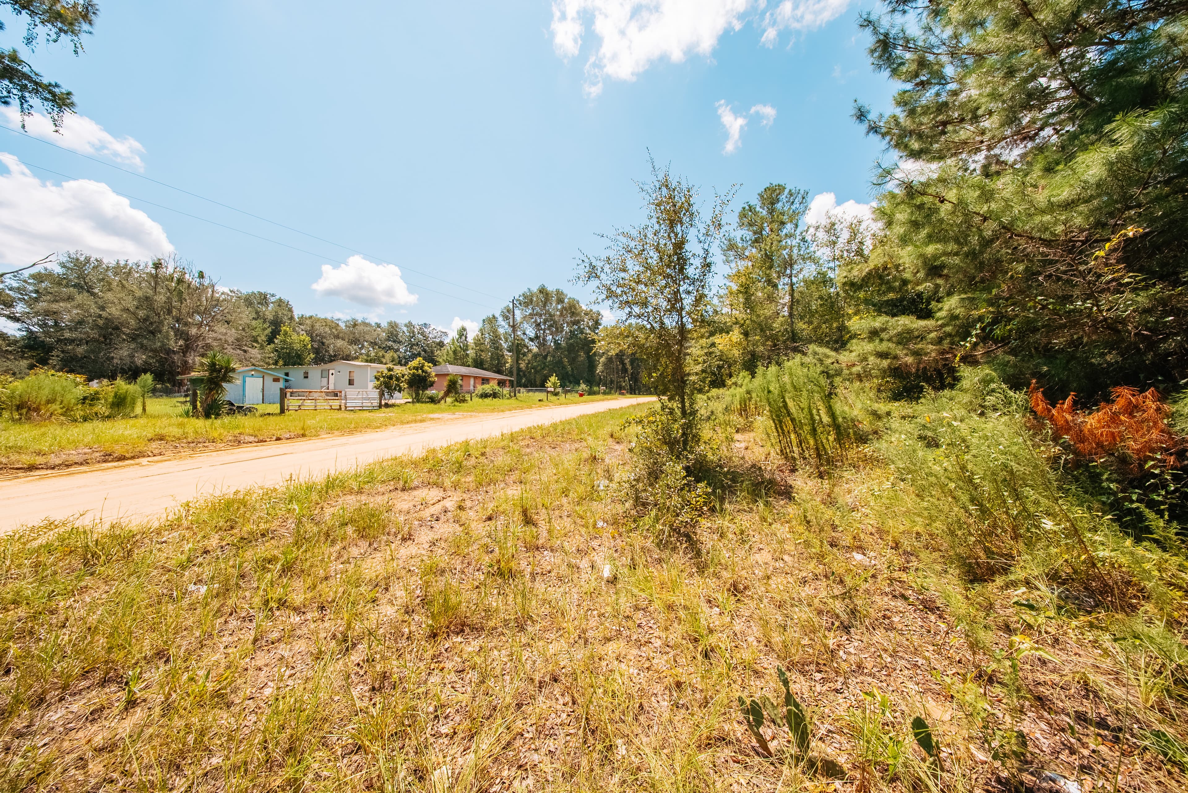 0.215 Acre Build-Ready Lot in Interlachen Lakes Estates — property view 11