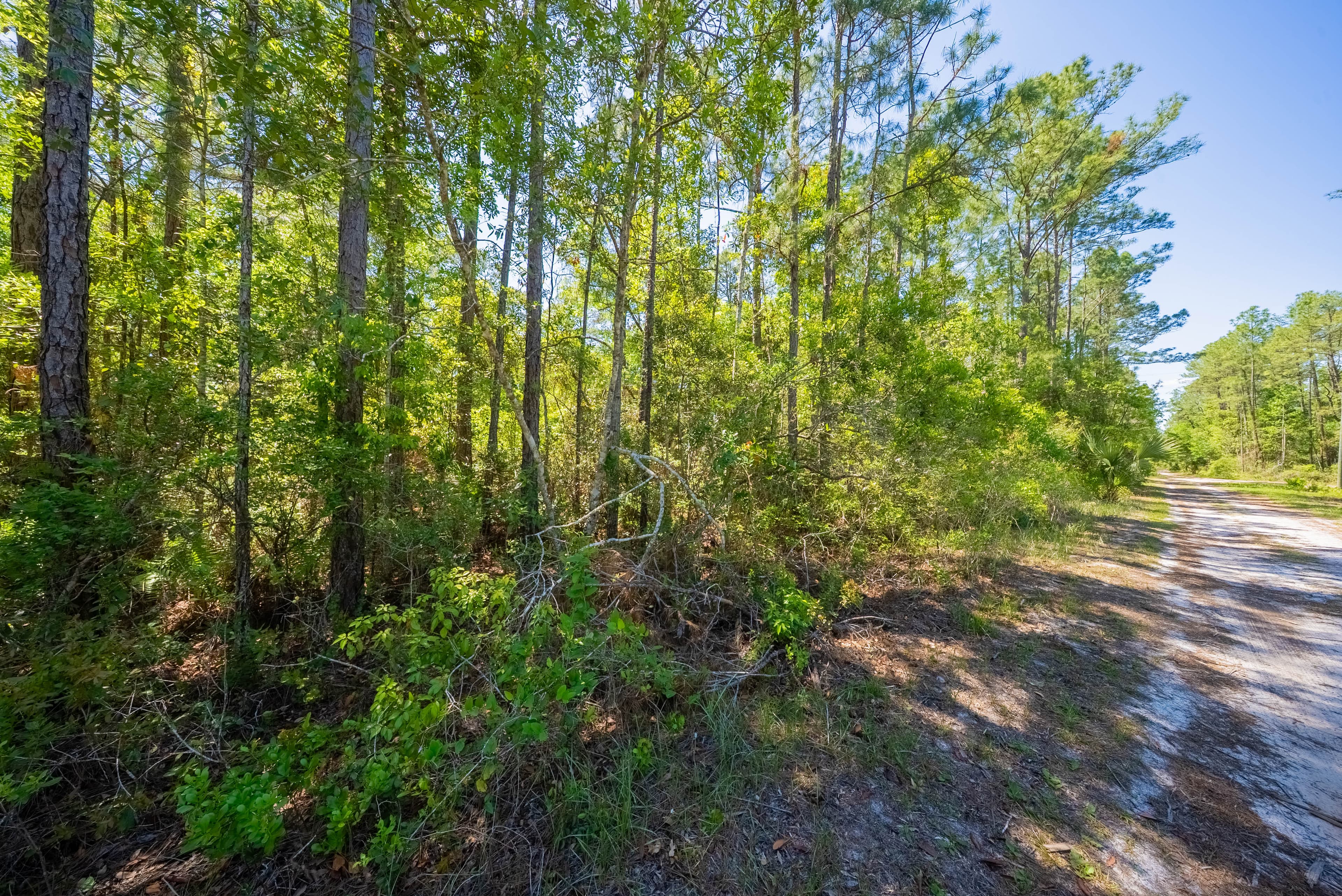 0.23 Acre Build-Ready Lot in Interlachen Lakes Estates — property view 7