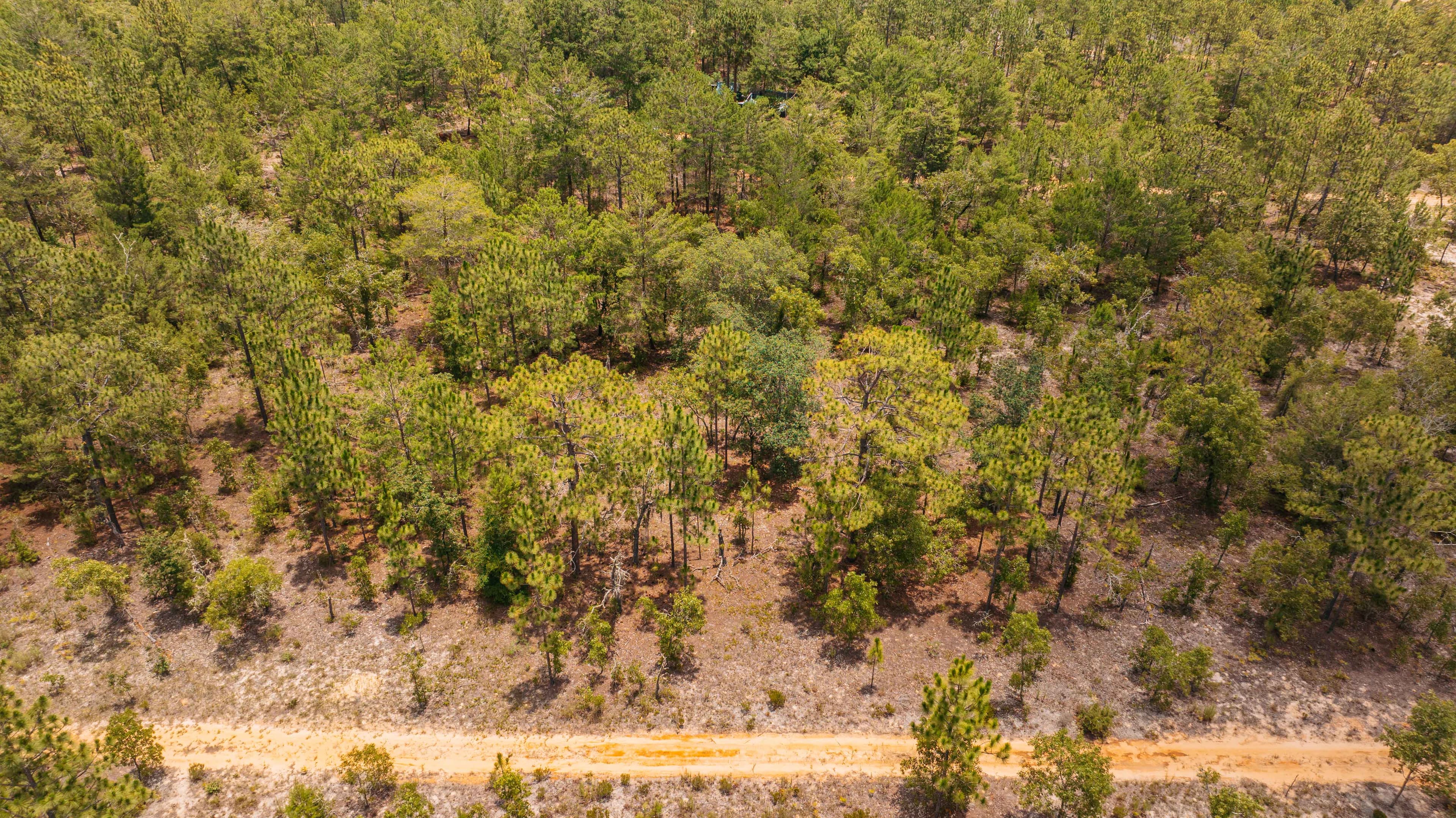 0.20 Acre Build-Ready Lot in Cooper Lake Estates, Interlachen — property view 13