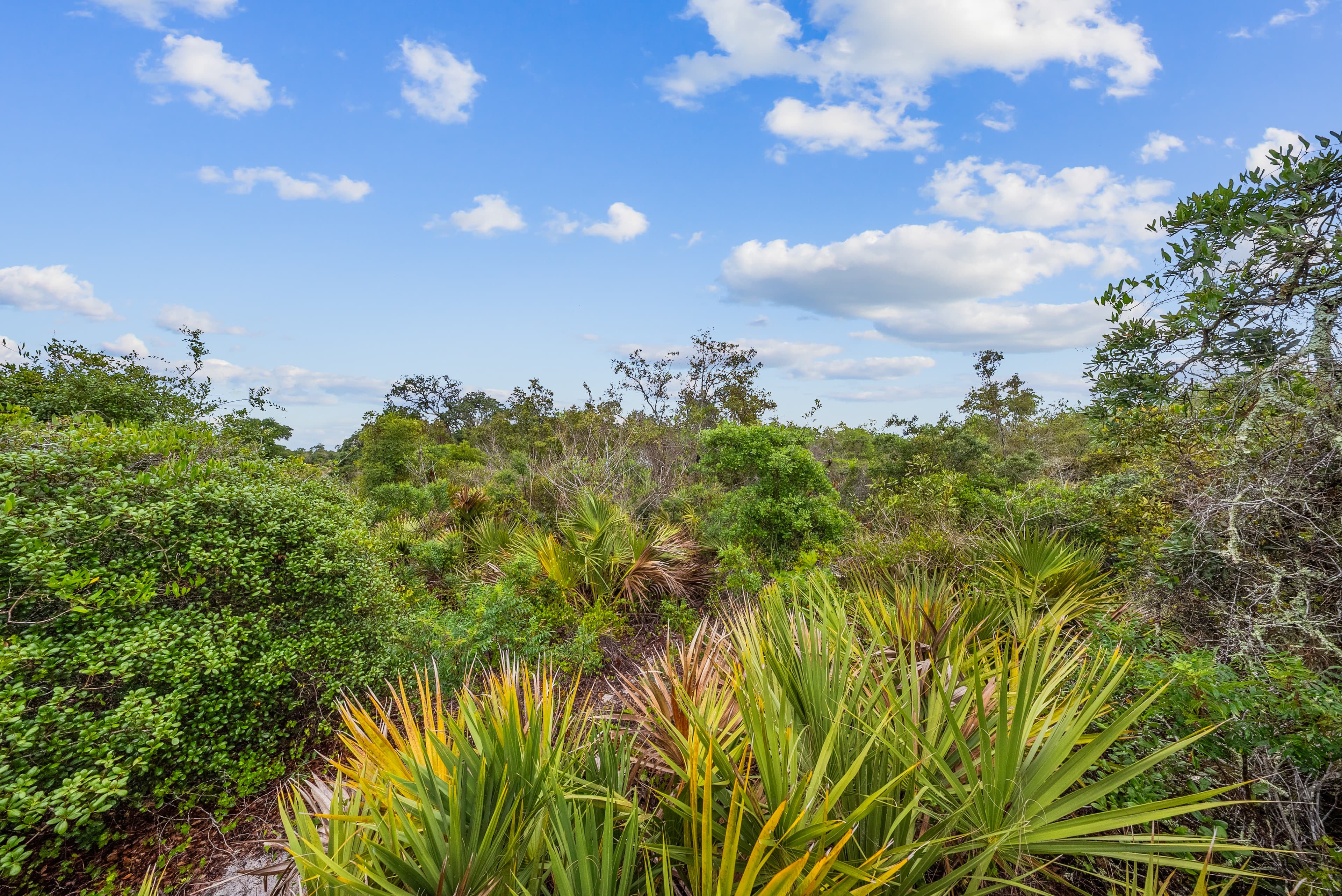 The Morningside Estate: 0.23 Acres of High-Elevation Site-Built Land — property view 10