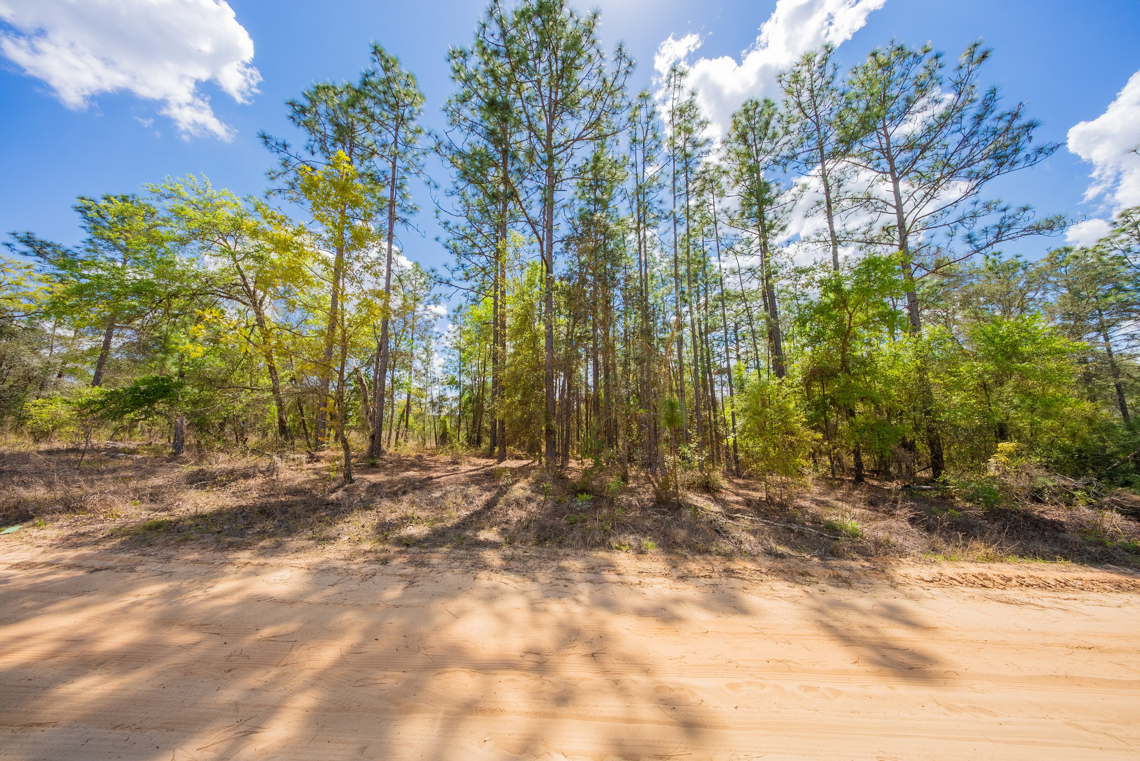 High-Ground Hawthorne: 0.3 Acres of Freedom — property view 10