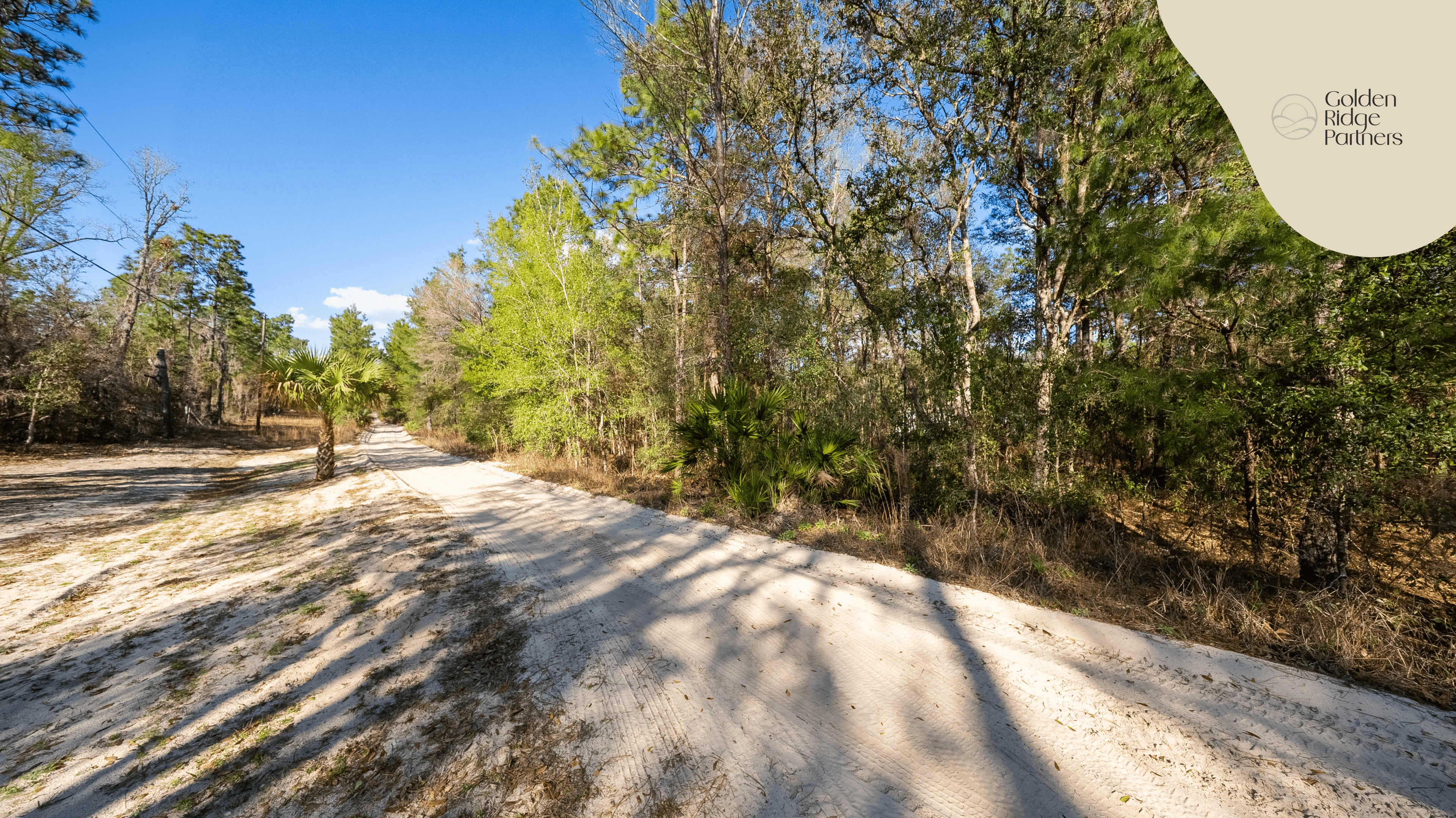 0.23 acre residential zoned land for sale in Putnam County, FL — photo 4