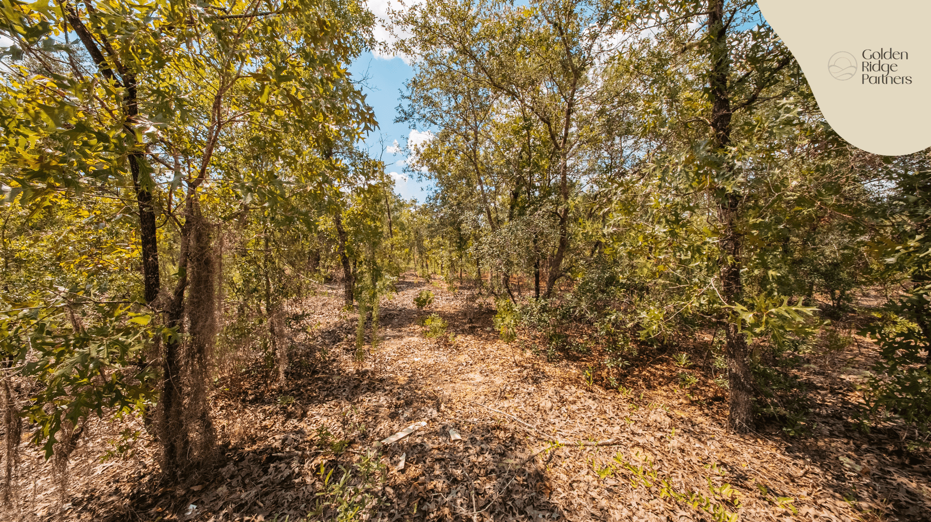 0.2 acre residential zoned land for sale in Putnam County, FL — photo 2