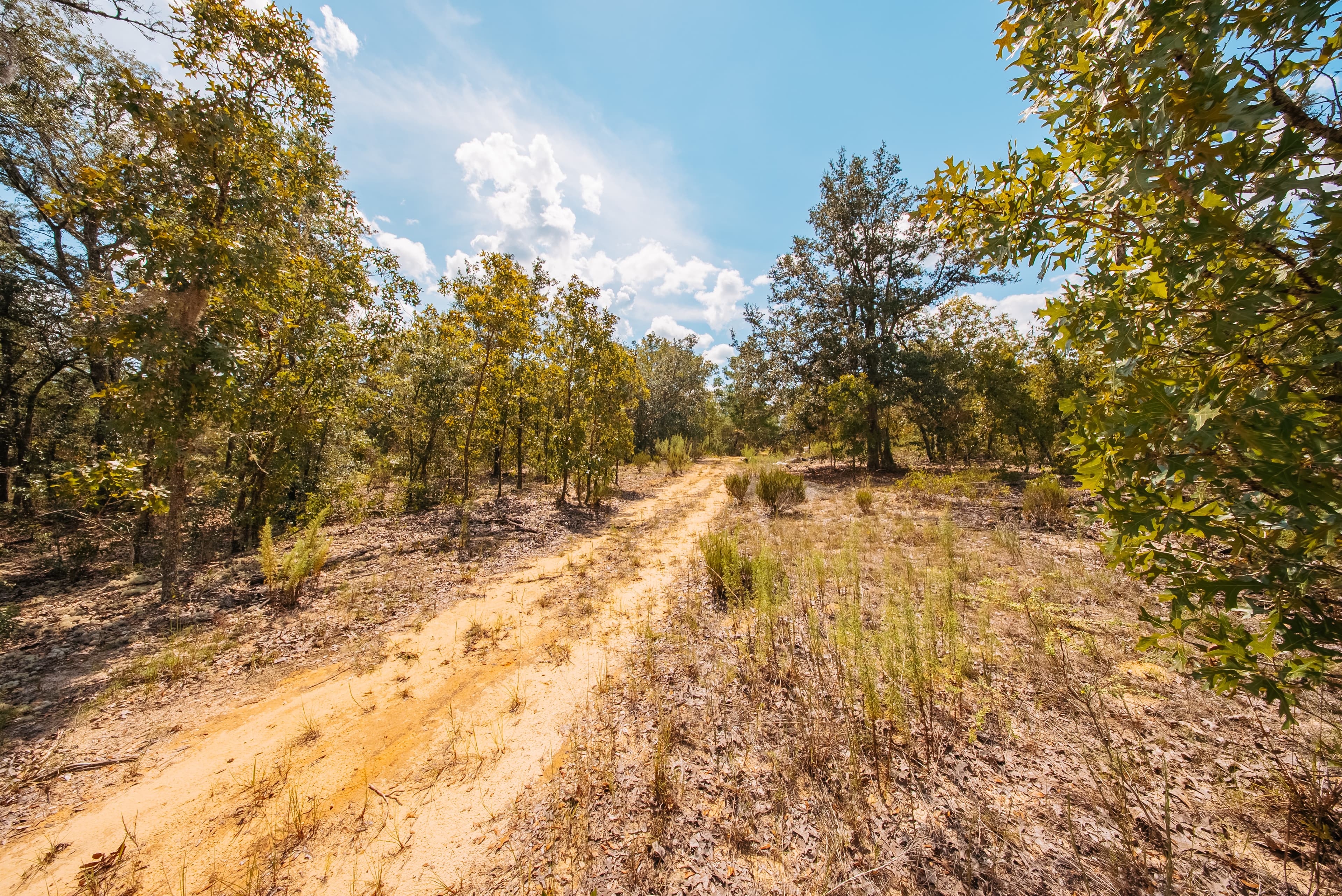 0.20 Acre Build-Ready Lot in Paradise View Estates — property view 14