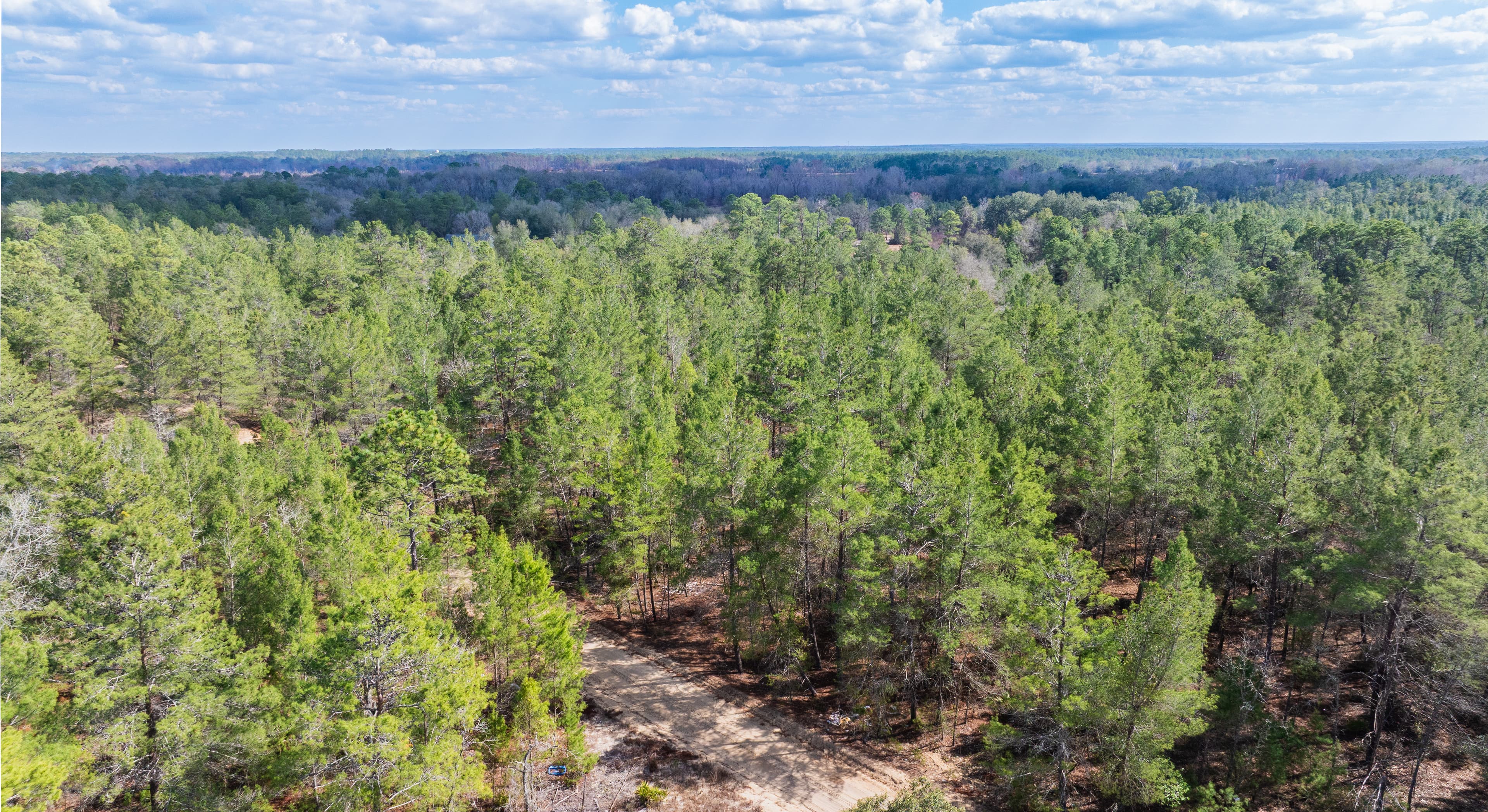 0.4 acre residential zoned land for sale in Putnam County, FL — photo 4