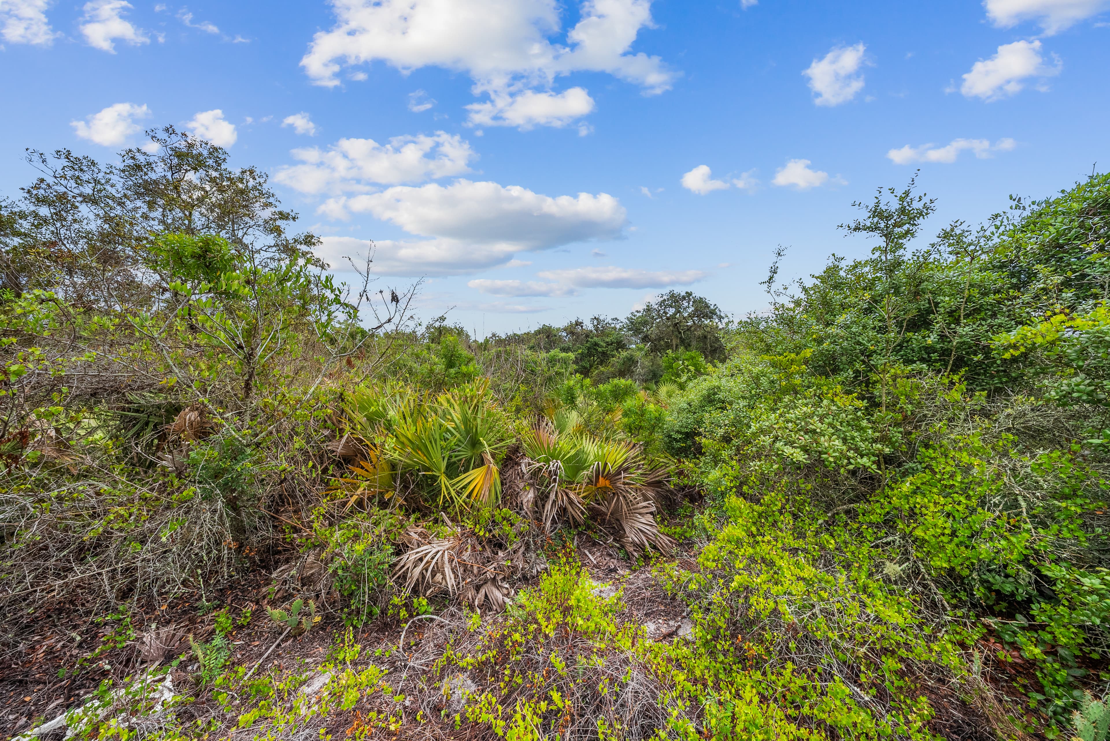 The Morningside Estate: 0.23 Acres of High-Elevation Site-Built Land — property view 8