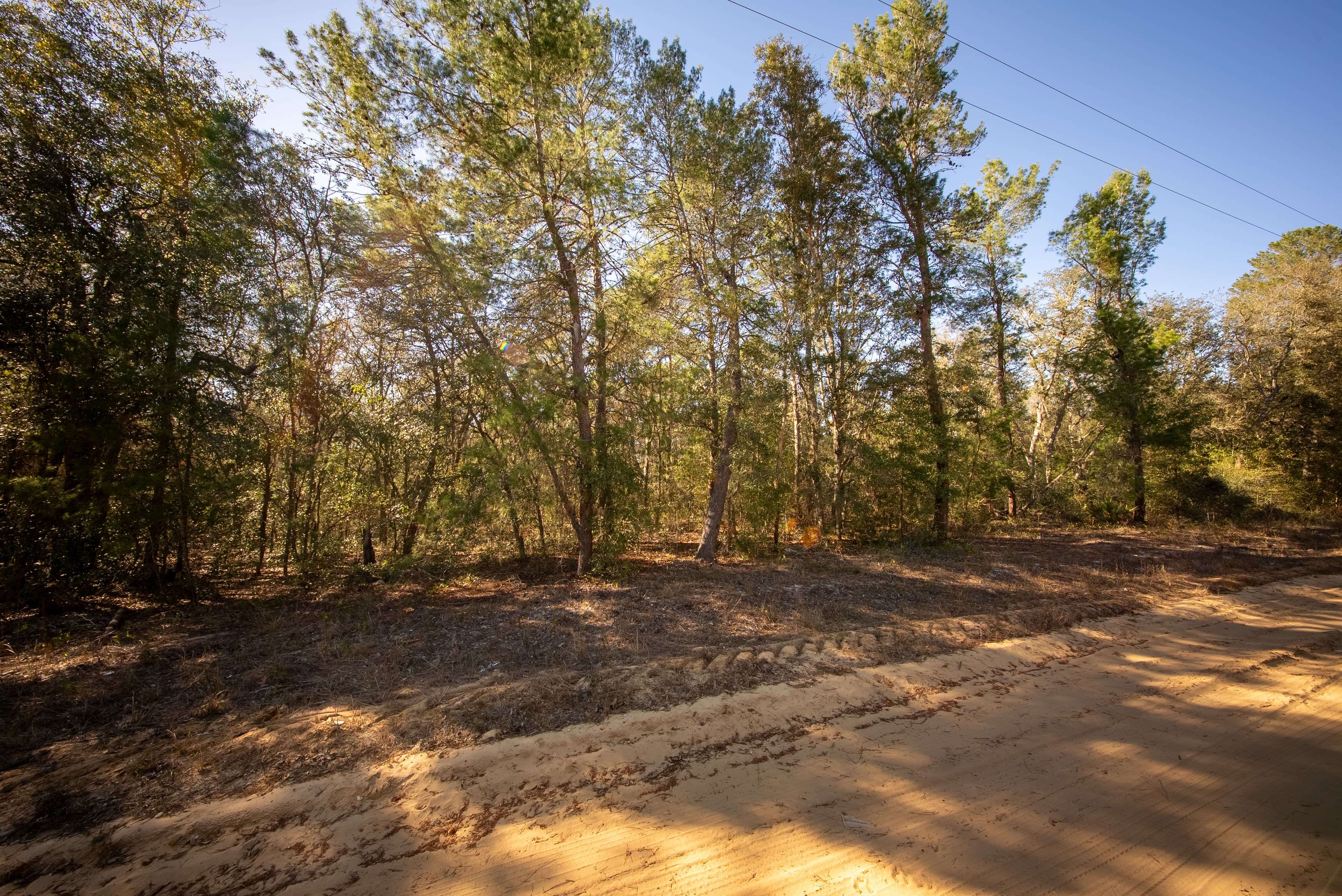 High Ground Harmony in Frederick Town — property view 10