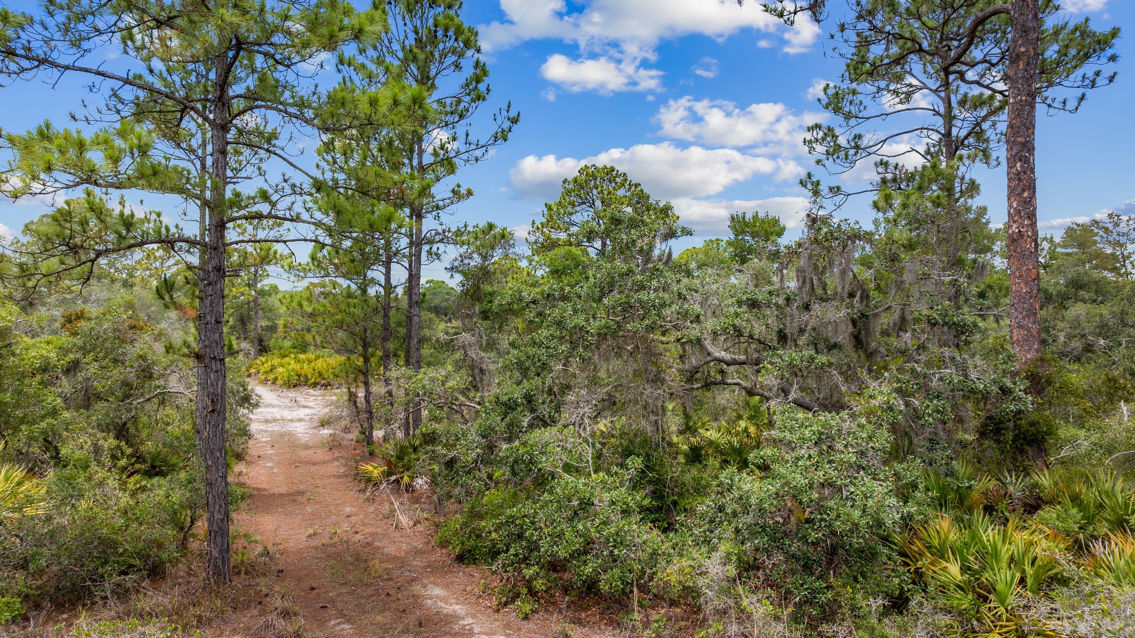 Anchor Your Dreams on Showboat Ave: 0.23 Acres of Wooded Serenity — property view 13