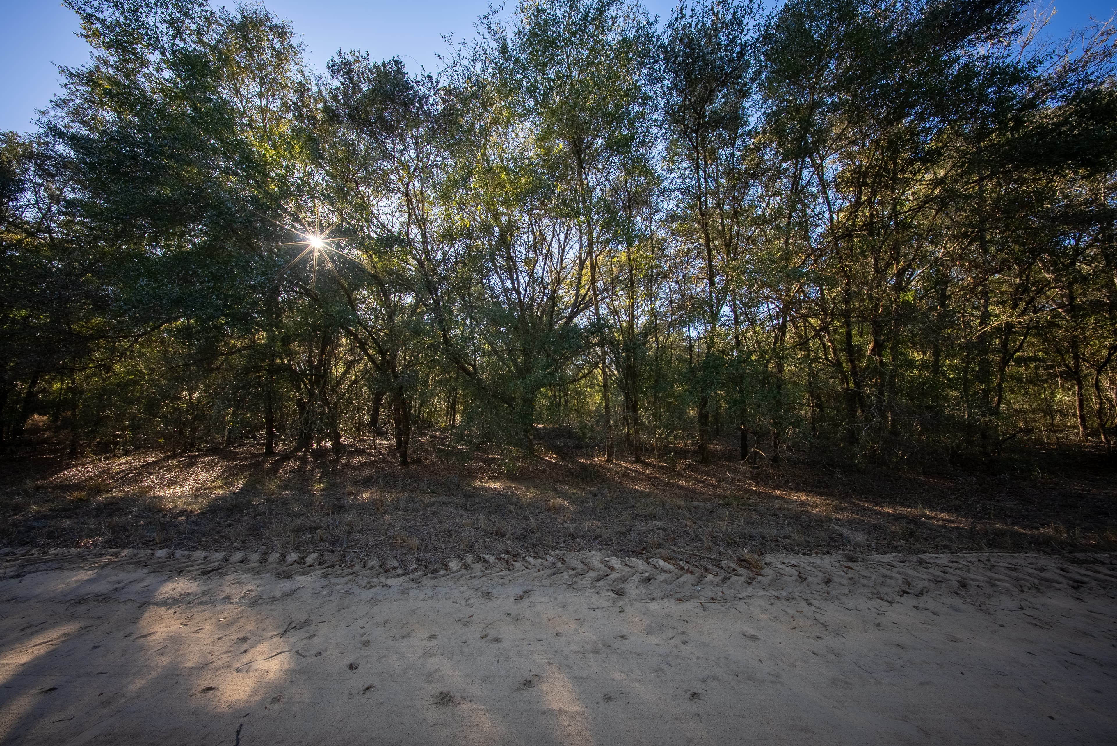 This is Where Dreams Become Reality — property view 9
