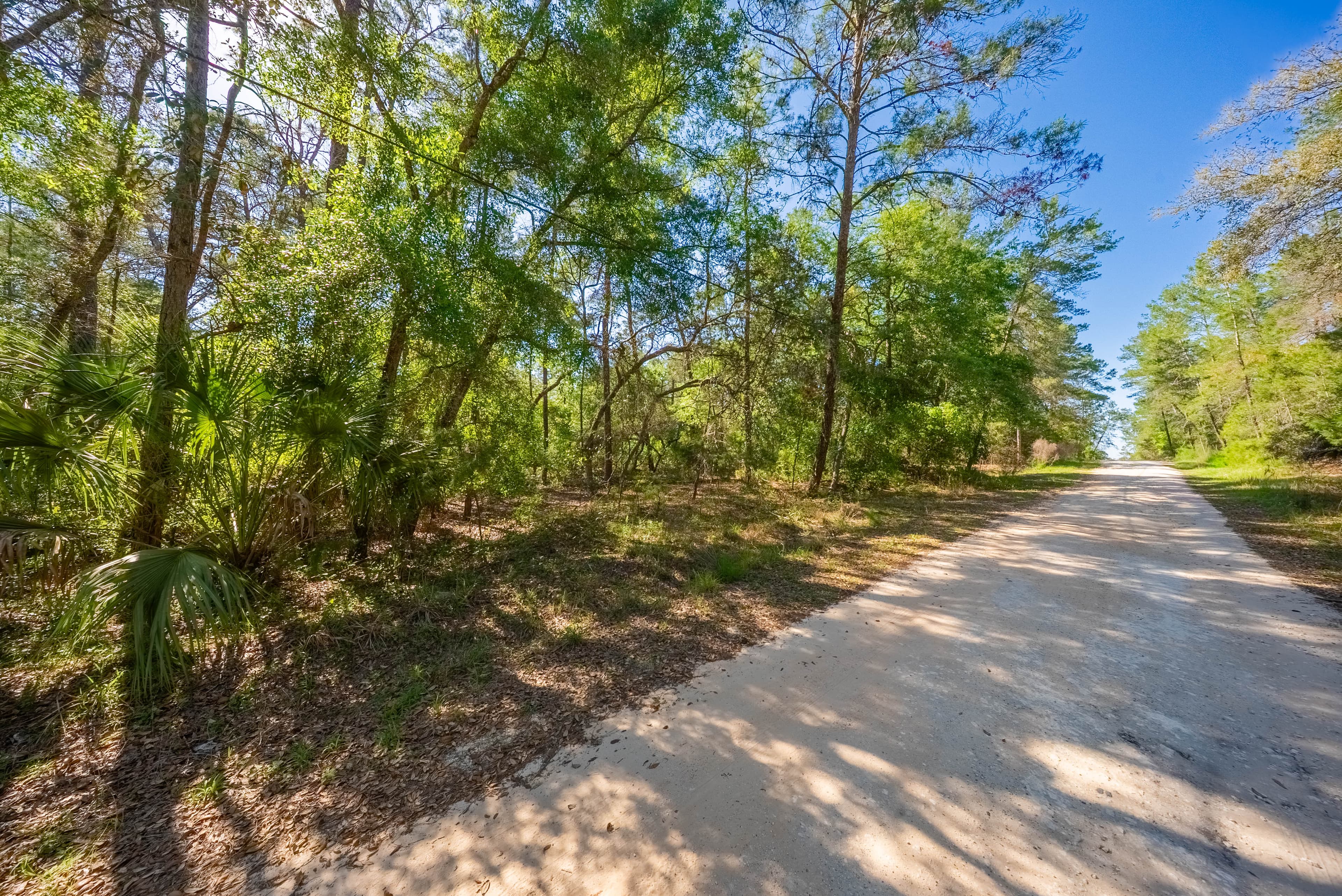 Your 0.23 Corner Lot Opportunity in St. Johns Riverside Estates — property view 12