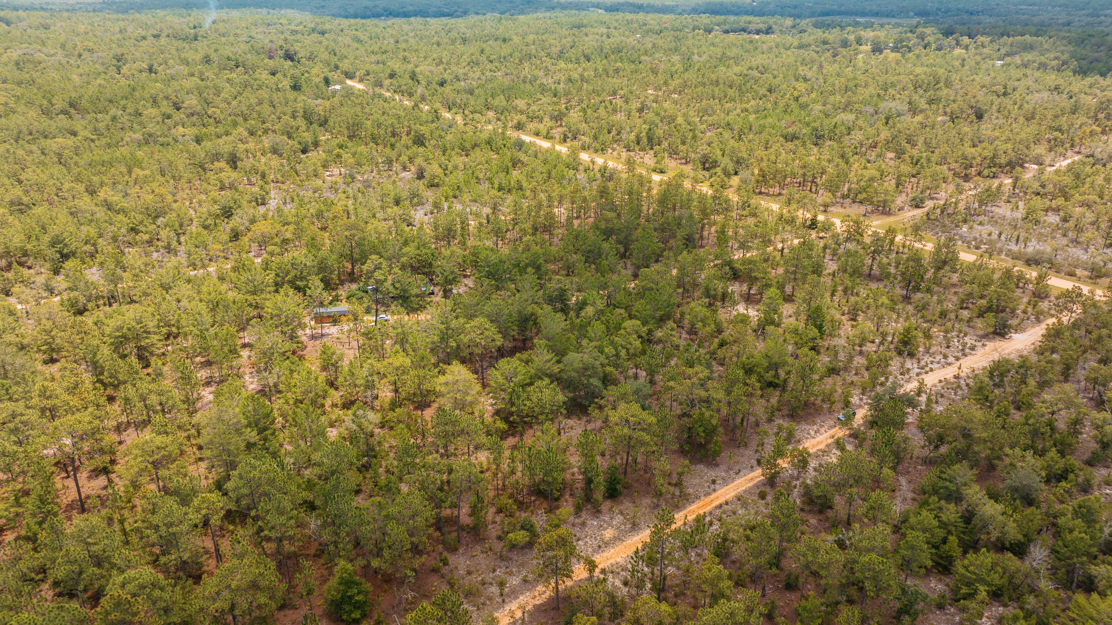 0.20 Acre Build-Ready Lot in Cooper Lake Estates, Interlachen — property view 14