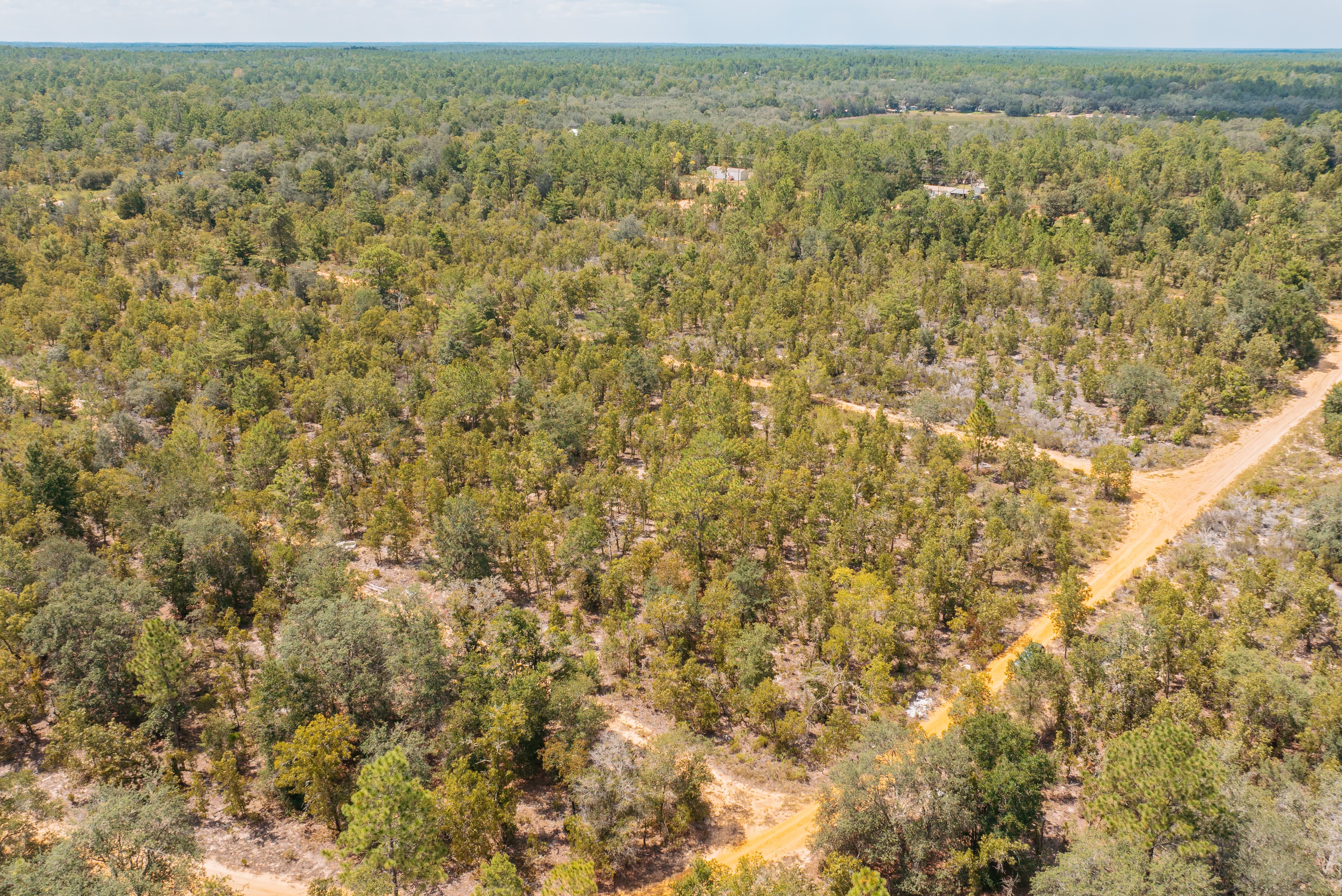 0.20 Acre Build-Ready Lot in Paradise View Estates — property view 15