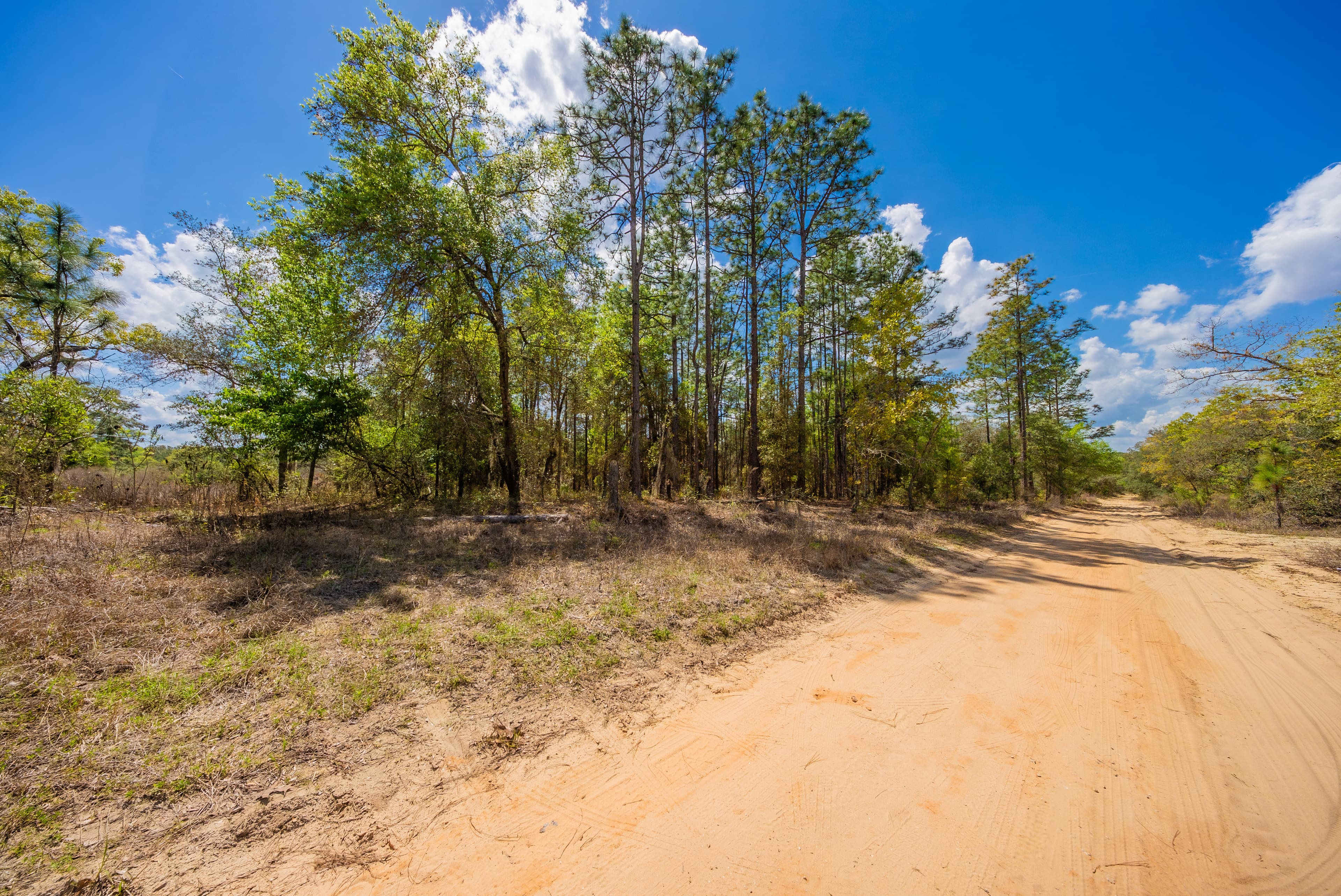 High-Ground Hawthorne: 0.3 Acres of Freedom — property view 9
