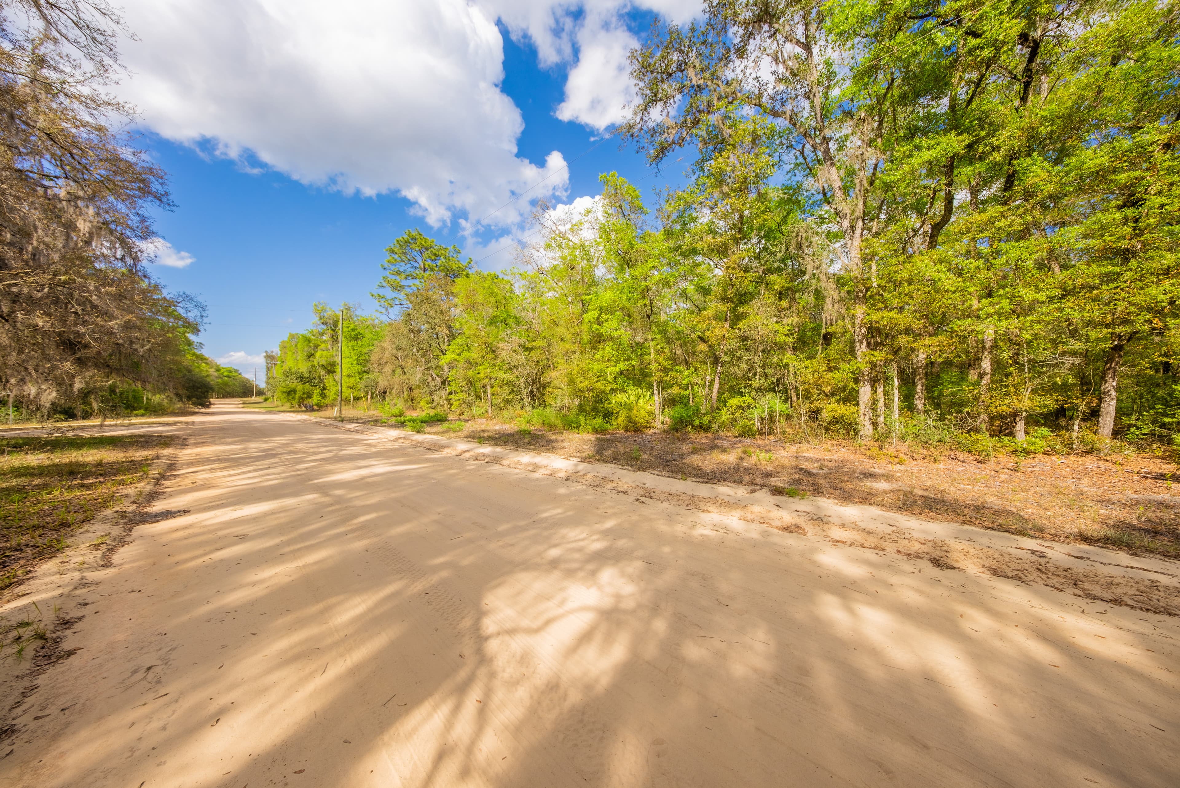 The Gloria Avenue Retreat: 0.22 High & Dry Acres in Hawthorne — property view 10