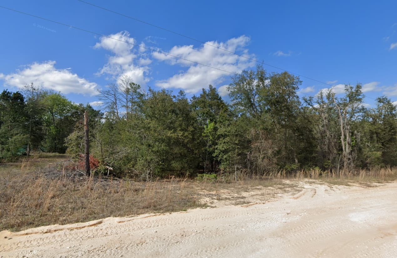 The Elevated Estate: 0.29 Oversized Acres of High & Dry Freedom — property view 7