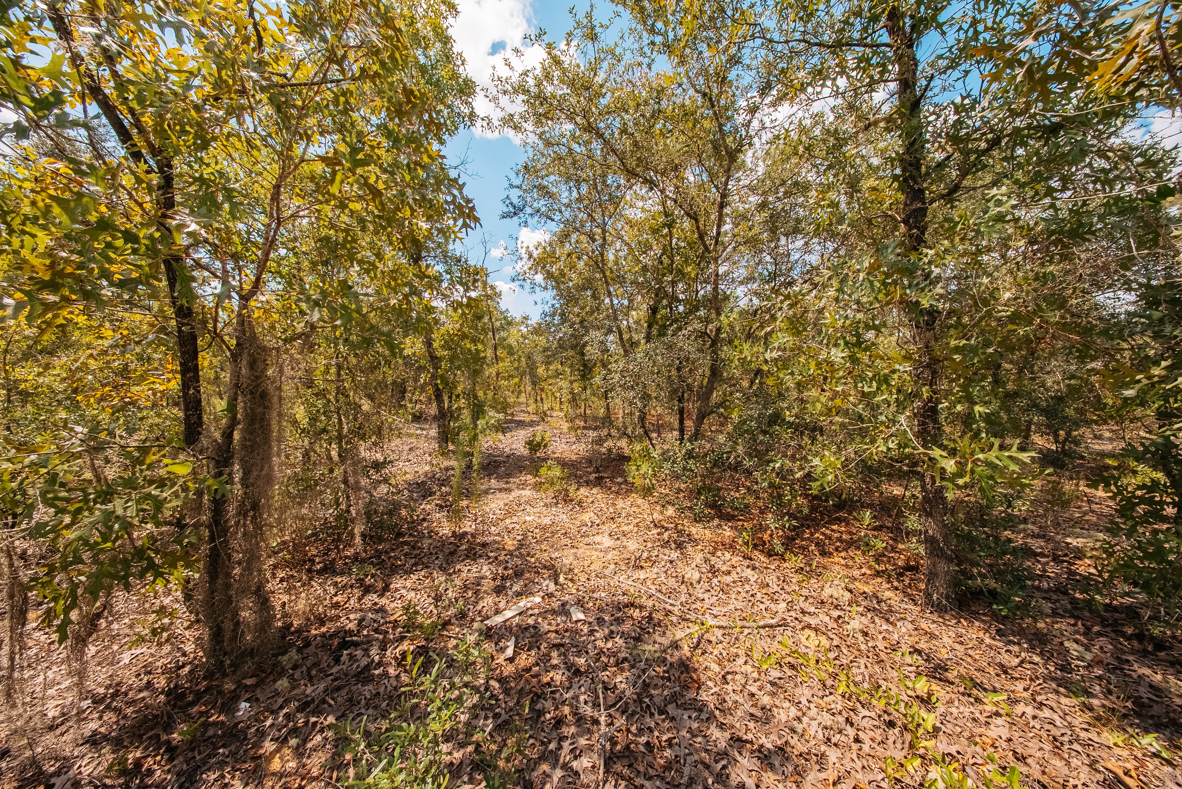 0.20 Acre Build-Ready Lot in Paradise View Estates — property view 9