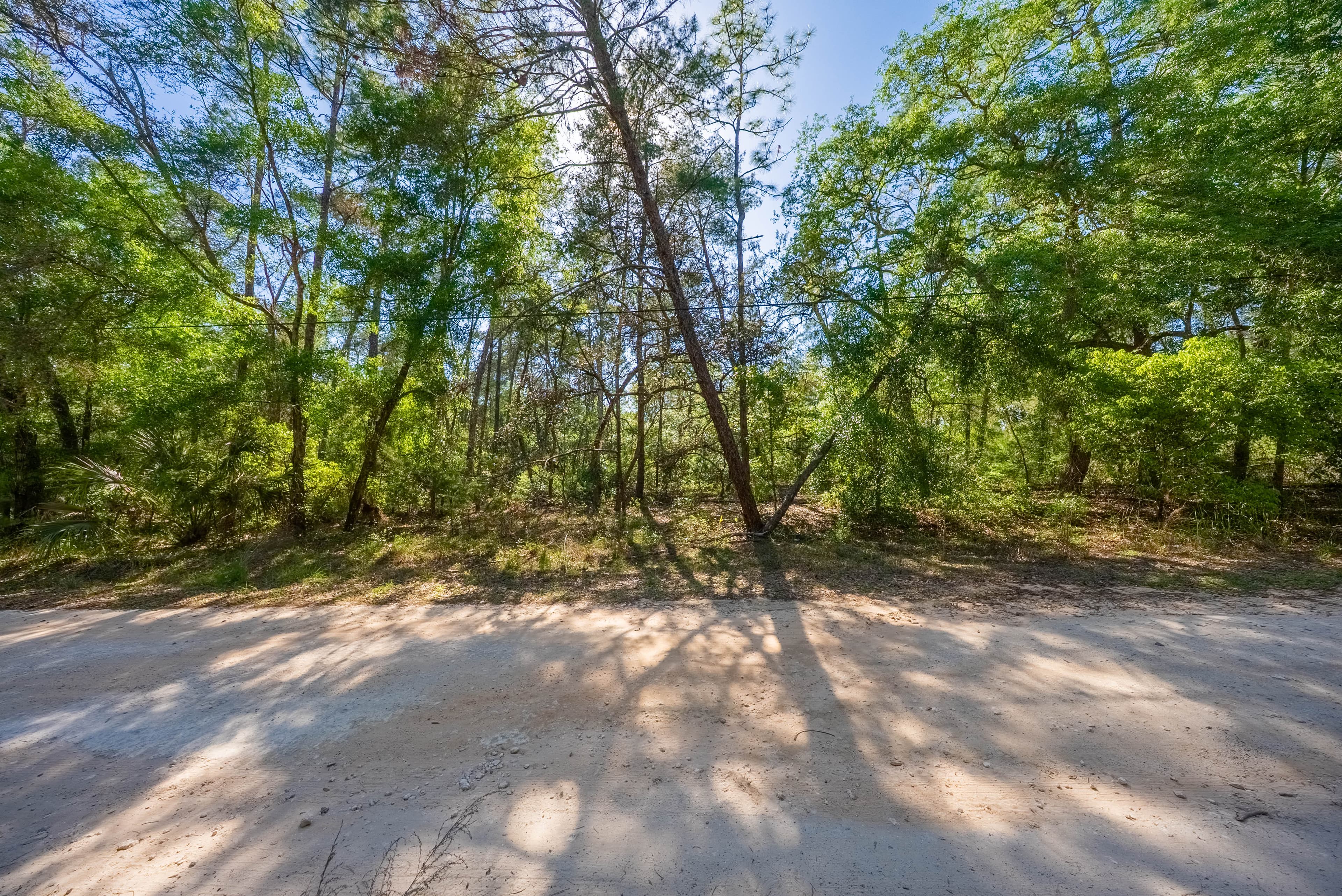 Your 0.23 Corner Lot Opportunity in St. Johns Riverside Estates — property view 11