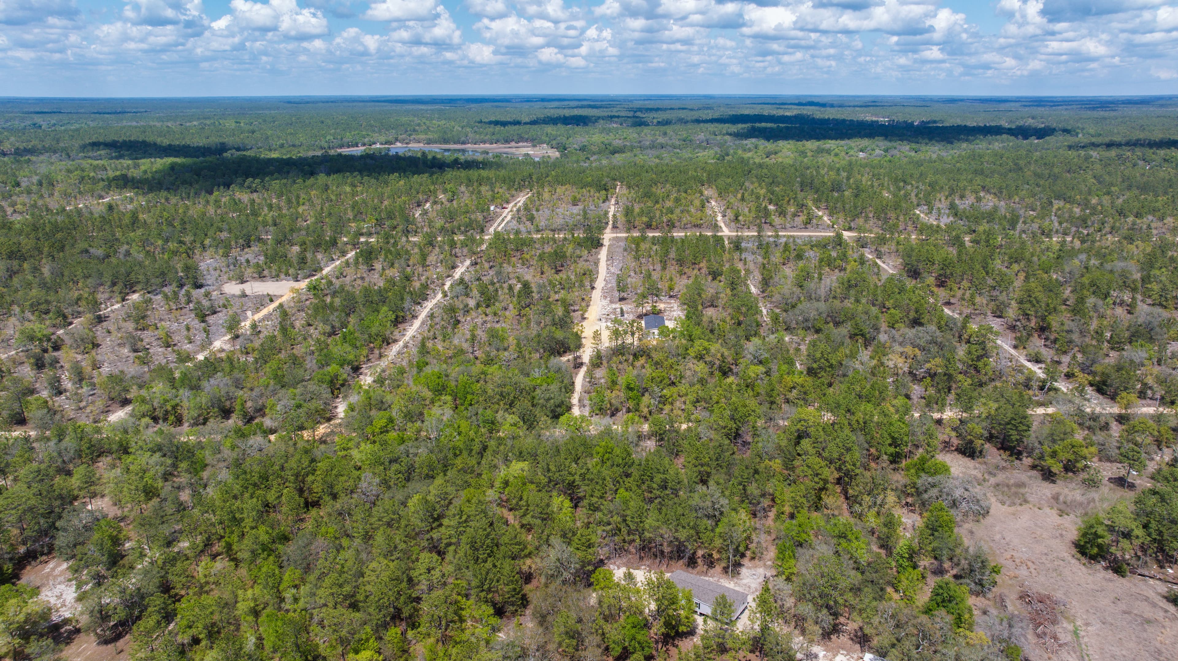 High-Ground Hawthorne: 0.3 Acres of Freedom — property view 5