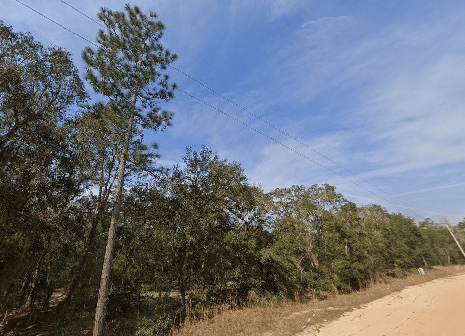 The Elevated Estate: 0.29 Oversized Acres of High & Dry Freedom — property view 9