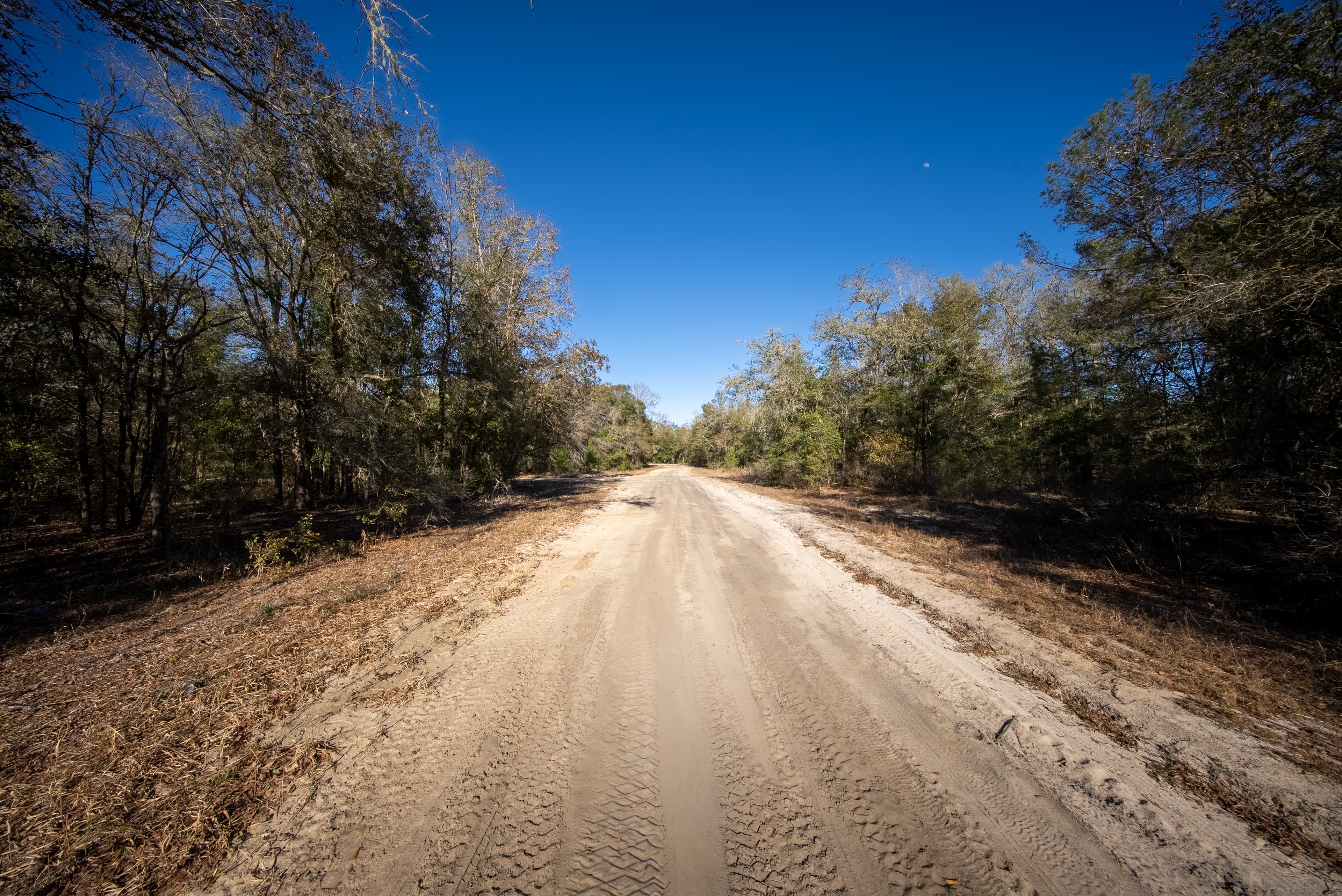 Your Private Sanctuary on Cameron Drive — property view 13