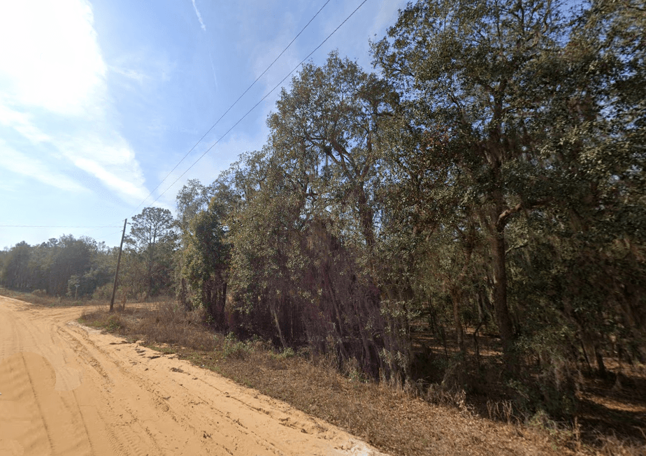 The Elevated Estate: 0.29 Oversized Acres of High & Dry Freedom — property view 10