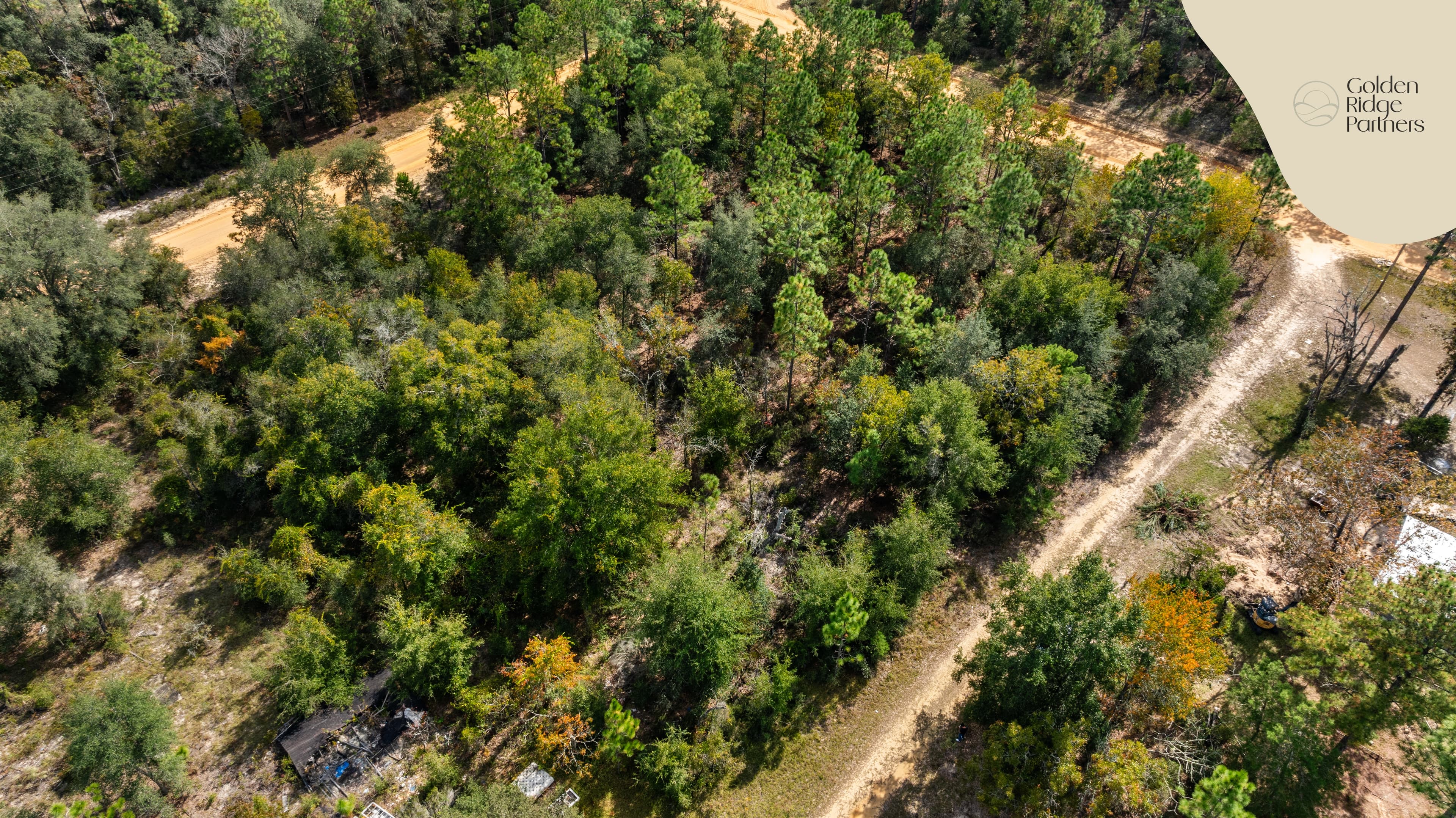 The Perfect Foundation in Trout Lake Shores — property view 5