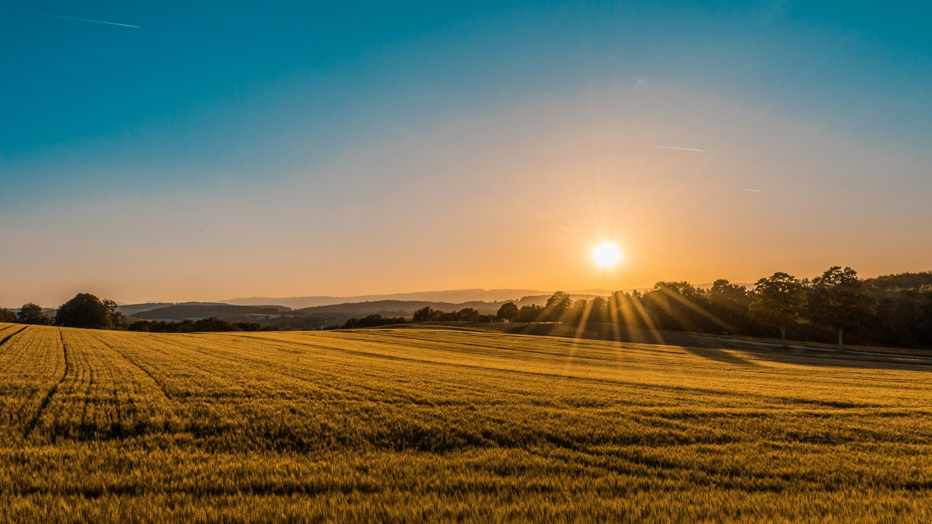 Freedom on open land
