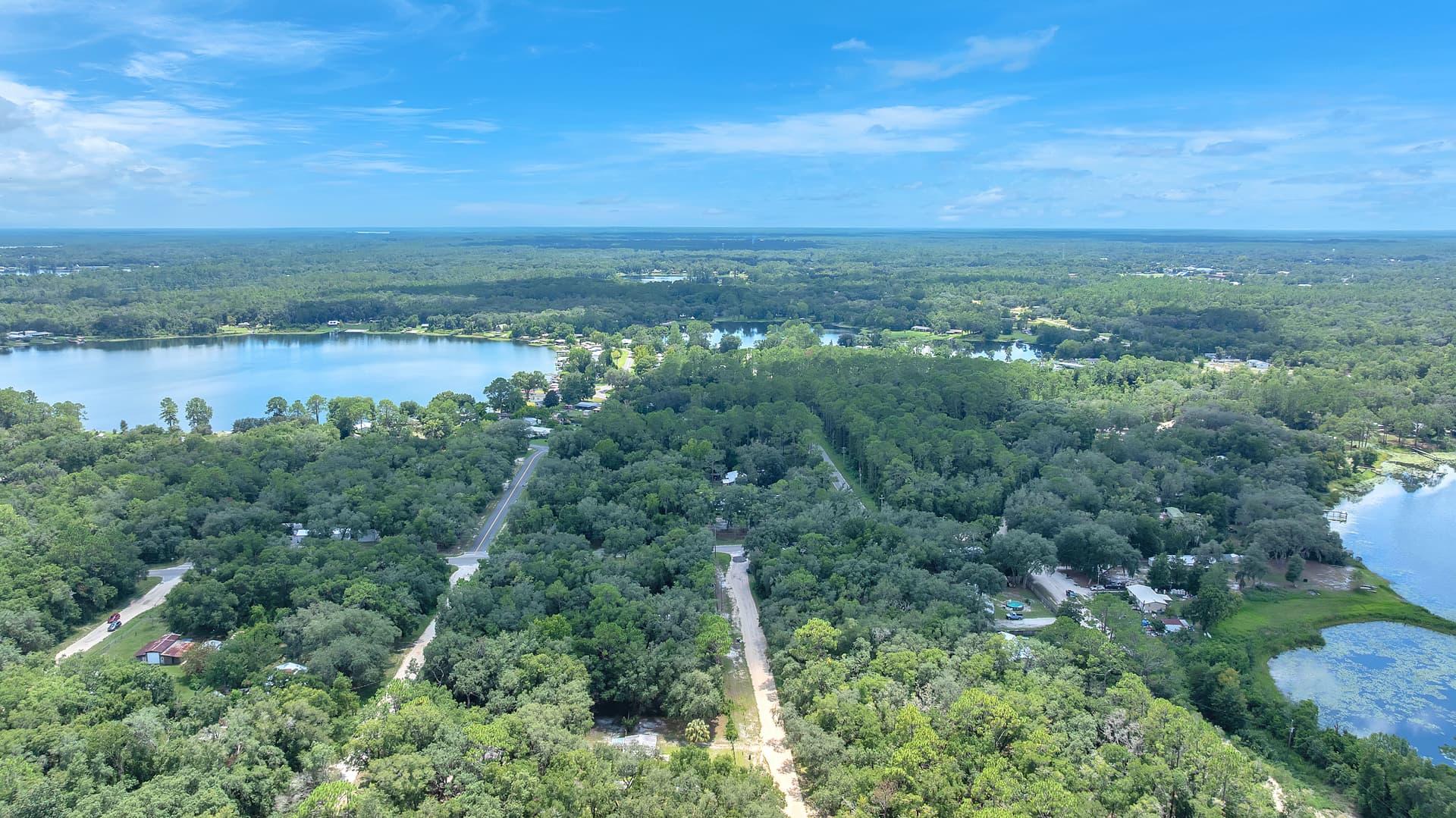 Open fence in nature